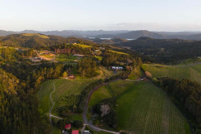 Russell: Paroa Bay Winery - Wine Tasting and Grazing - Who Would Love This Experience?