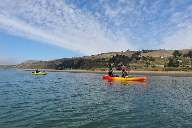 Russian River Kayak Tour at the Beautiful Sonoma Coast - The Value of the Experience
