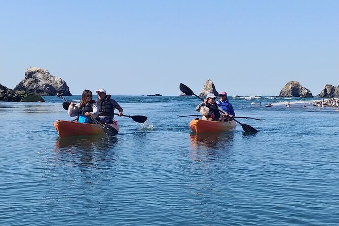 Russian River Kayak Tour at the Beautiful Sonoma Coast - Final Thoughts