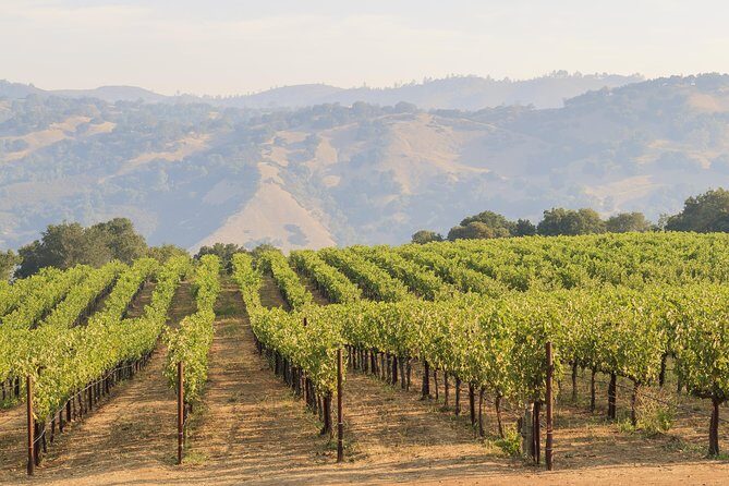 Russian River Weekend Wine Tasting & Gourmet Lunch - Final Thoughts: Who Should Book This Tour?