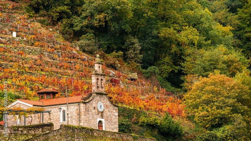 Ruta Ribeira Sacra and Sarria: Between Vineyards, History and the Way of Saint James - A Complete Tour of Galicia’s Hidden Corners