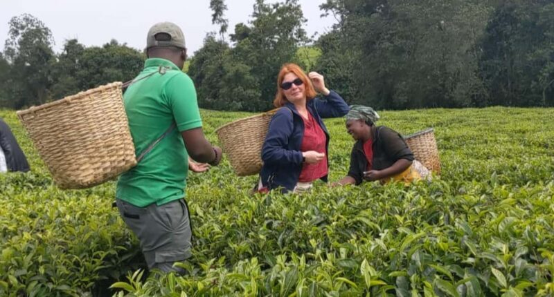 Rwanda: 3-Day Nyungwe Canopy way walk and Lake Kivu Tour. - Key Points