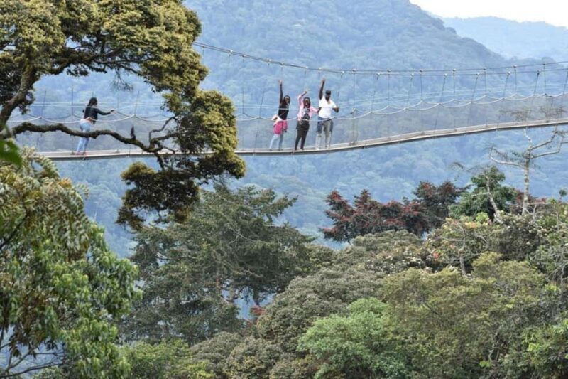 Rwanda: 3-Day Nyungwe Canopy way walk and Lake Kivu Tour. - Exploring Nyungwe National Park