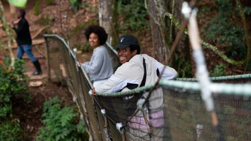 Rwanda: 3-Day Nyungwe Canopy way walk and Lake Kivu Tour. - Transition to Lake Kivu