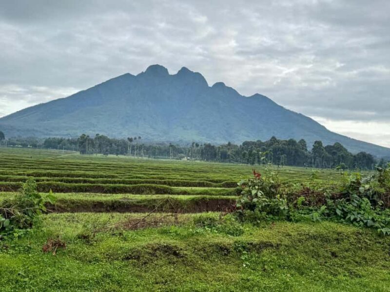 Rwanda 5-Day Safari to Nyungwe National Park and Lake Kivu - Practical Tips for Your Trip
