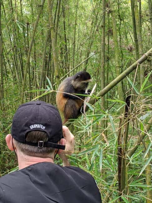 Rwanda: 5-Day Safari with Gorilla and Golden Monkey Trekking - An Overview of the 5-Day Rwanda Safari Experience