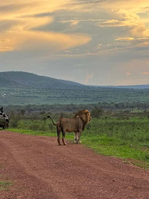 Rwanda: 7-Day Safari with Gorilla Trekking & Kigali Tour - Authentic Experiences and Local Insights