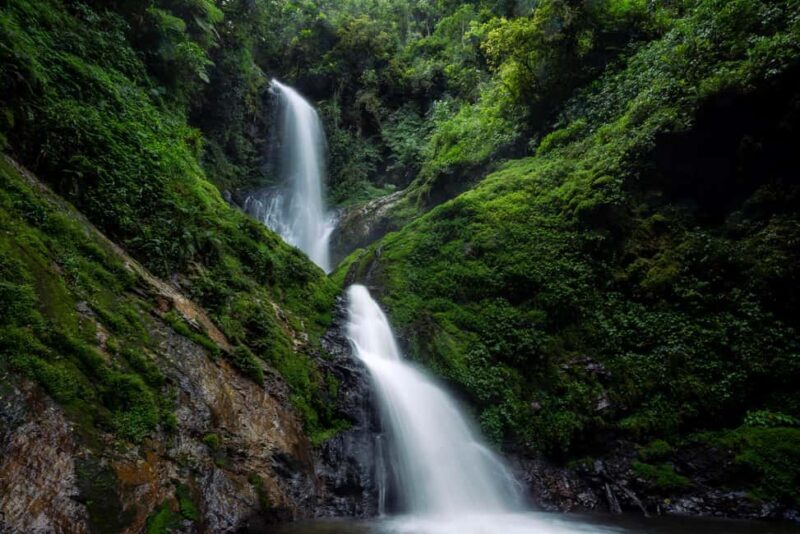 Rwanda: 8-Day Adventure and Primates Tour with Luxury Stay - An Honest Look at the 8-Day Rwanda Tour