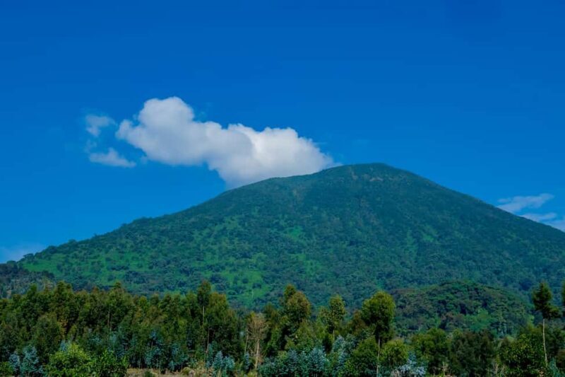 Rwanda: Bisoke Volcano Hike with Round-Trip from Kigali - Key Points