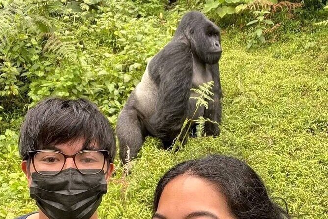 Rwanda One Day Gorilla Trekking with Ibyiwacu Culture Visit - Key Points