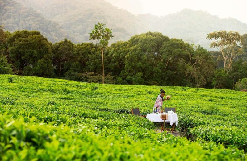 Rwanda Traditional & Modern Drinks Tour - Key Points