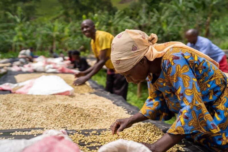 Rwanda Traditional & Modern Drinks Tour - The Experience Provider