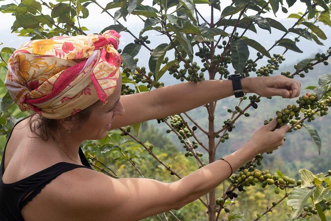 Rwandan Coffee Experience - FAQ: Your Questions Answered