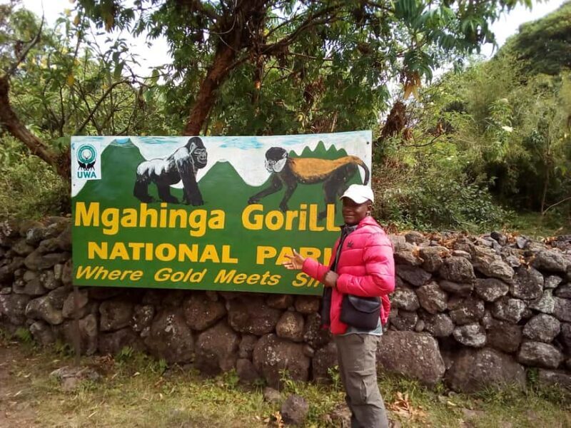 Rwenzori Mt.hike, Chimps trekking & game drive gorrilla - What Makes This Tour Stand Out