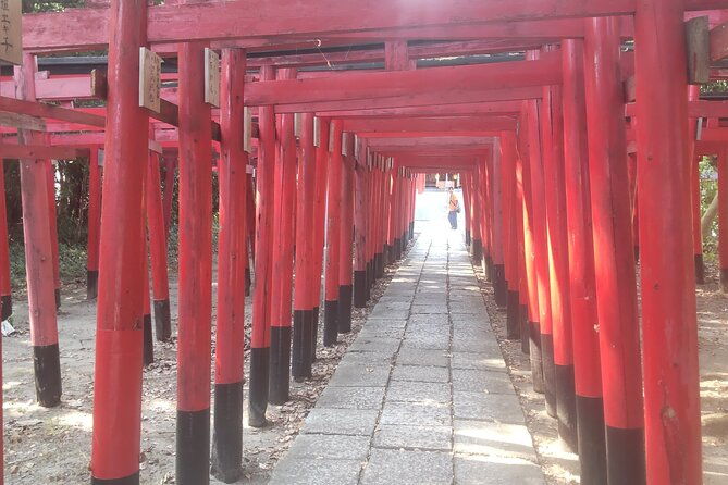 ryugeji-temple-ocha-kaikan-yumeterrace-minowa-inari-shrine-v-g