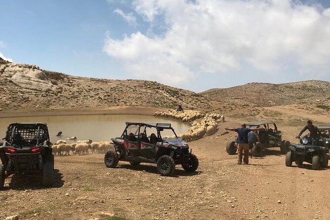 RZR XP4 (4 Seat Buggy) Full Day Off-Road Scenic Adventures - Who Will Love This Tour?