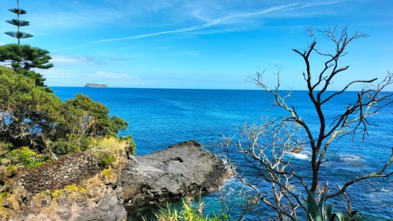 s-miguel-snorkeling-adventure-in-caloura