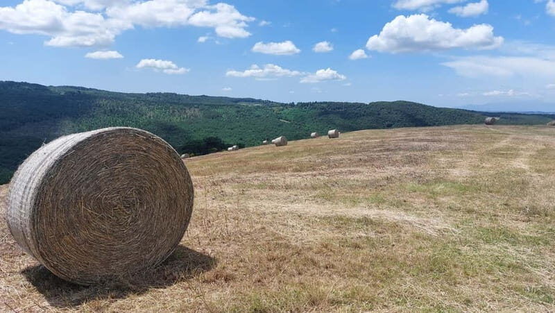 S.Miniato e-bike tour and aperitif (optional yoga at sunset) - Key takeaways