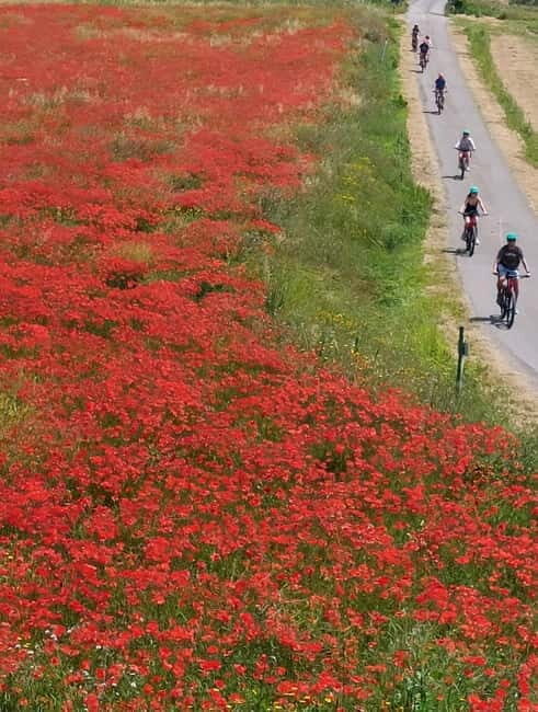S.Miniato e-bike tour and aperitif (optional yoga at sunset) - A detailed look at the itinerary