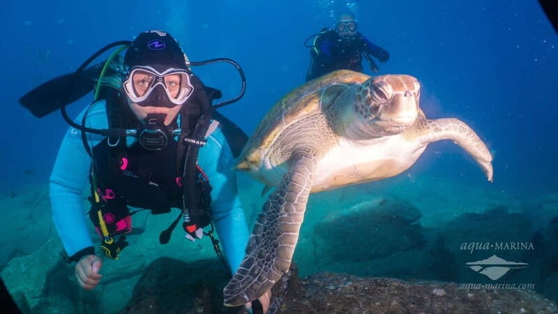 S. Tenerife: Exciting Boat Dive for Beginners to Turtle Bay - Why This Tour Offers Great Value
