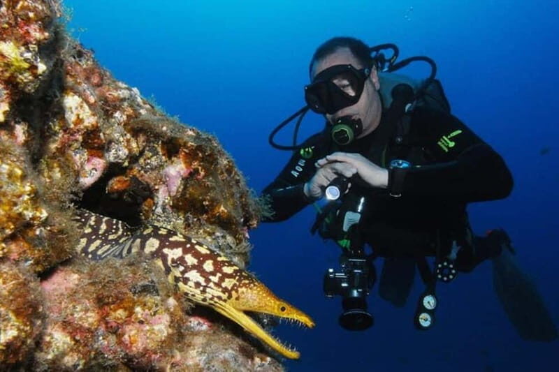 S Tenerife: Guided Boat Dive for Qualified Divers - Key Points
