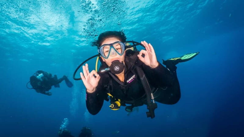 S Tenerife: Guided Boat Dive for Qualified Divers - Exploring the Experience in Detail