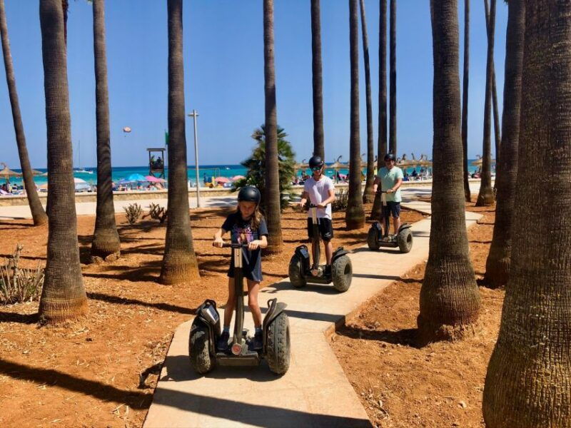 sa-coma-segway-tour-for-beginners