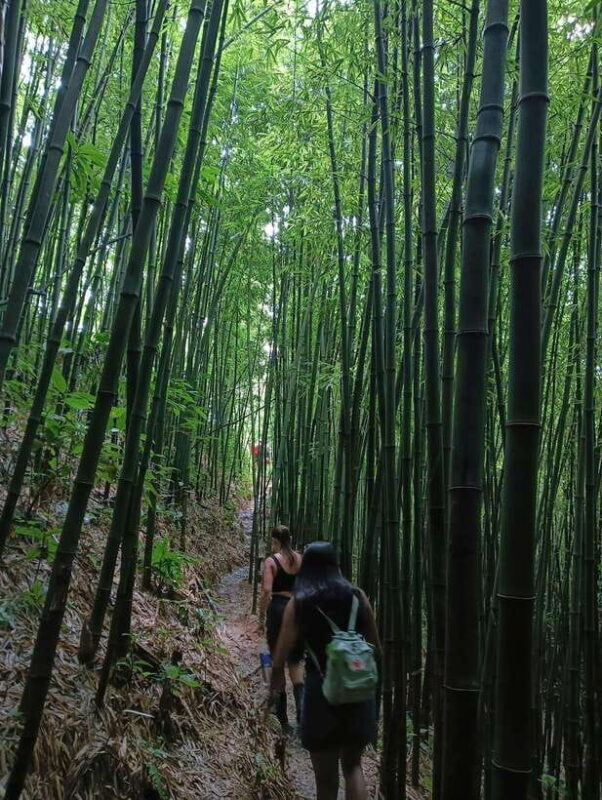 Sa Pa: 2-Day Trekking Tour with Ethnic Minority Homestay - Frequently Asked Questions