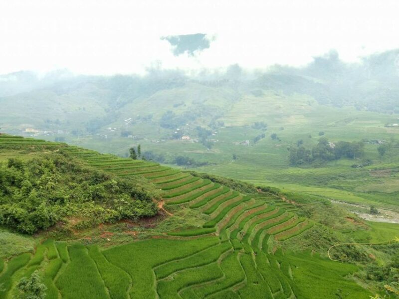 Sa Pa: 2-Day Trekking Trip with Ethnic Minority Homestay - Who Will Love This Tour?