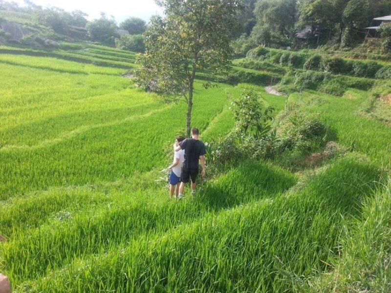 Sa Pa: 6-Hours Muong Hoa Valley Trek with Local Ethnic guide - Final Thoughts
