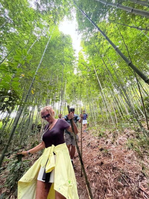 Sa Pa: Cang Hmong Sapa Trekking Tour - What’s Included (And What’s Not)