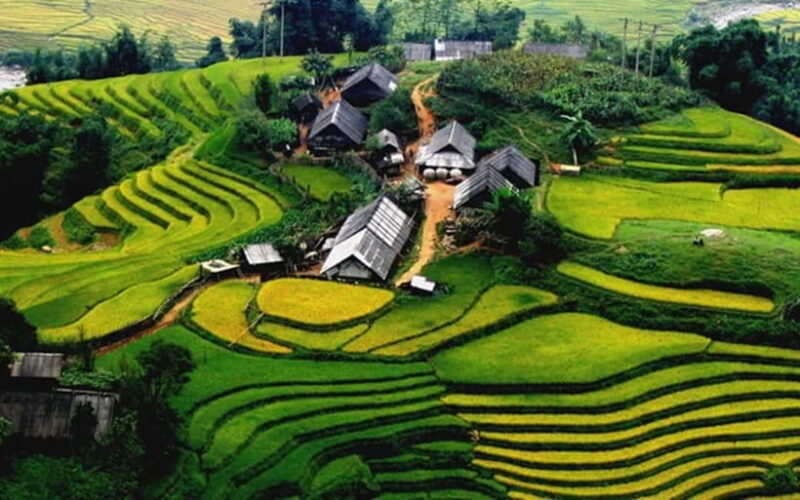 Sa Pa: Discover Fansipan Mountain Trek with Homestay 3 days - Introduction