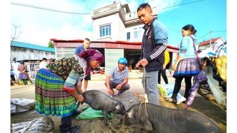 sa-pa-explore-bac-ha-market-on-sunday