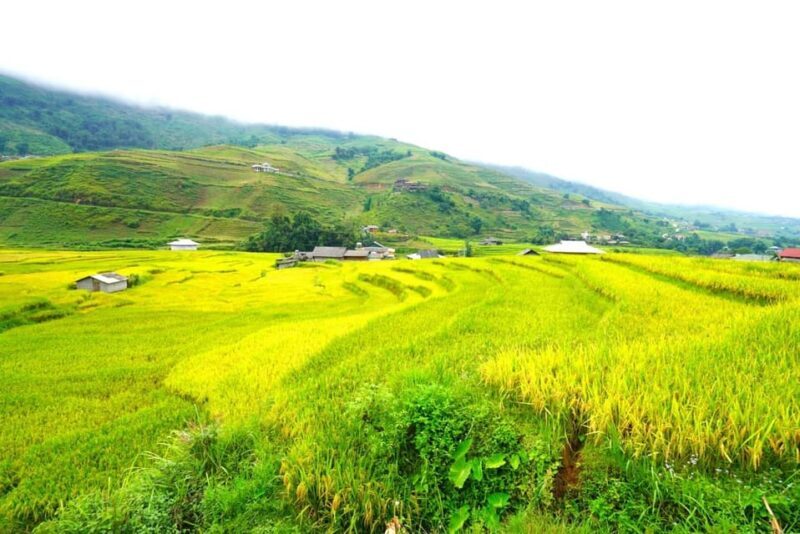 Sa Pa: Half-Day Cat Cat Village Hike to Meet H'mong People - Authentic Experiences Drawn From Reviews