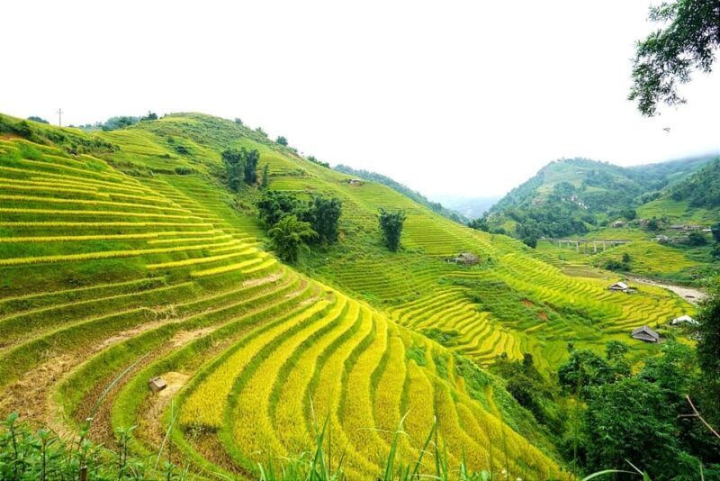 Sa Pa: Half-Day Cat Cat Village Hike to Meet H'mong People - Who Should Consider This Tour?