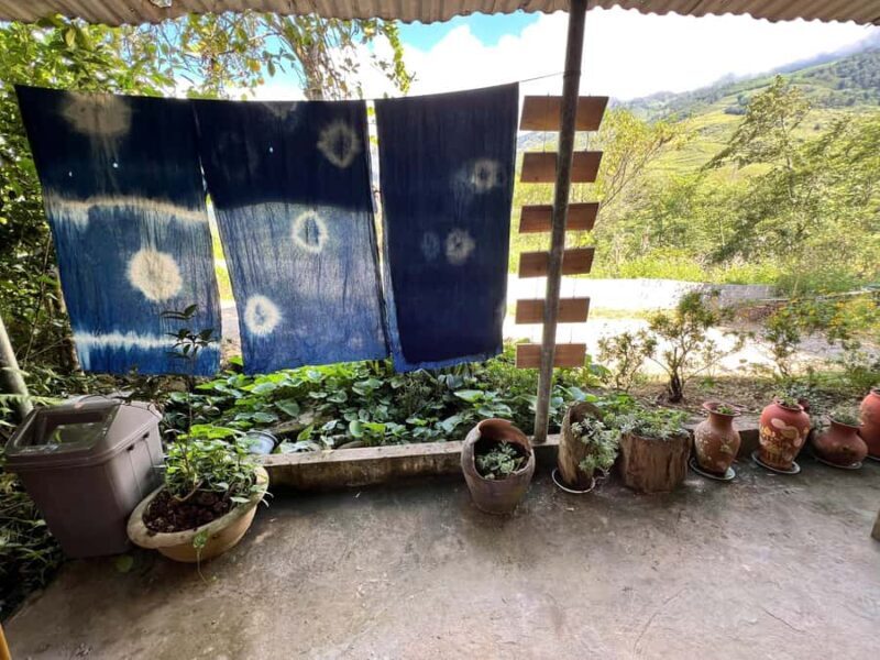 Sa Pa - Indigo Dyeing  Hands-On Craft Experience - What Is the Indigo Dyeing Experience?