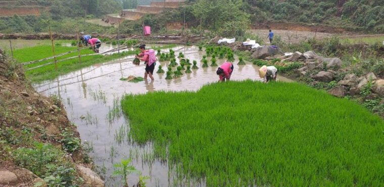 sa-pa-private-guided-tour-on-a-motorbike-with-lunch