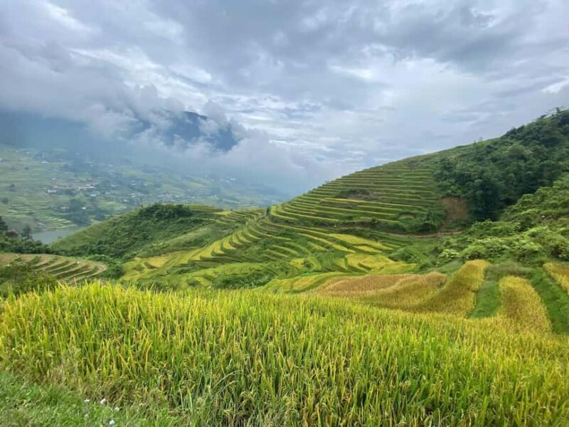 Sa Pa: Villages and Rice Fields Private Half-Day Car Tour - What Makes This Tour Stand Out?