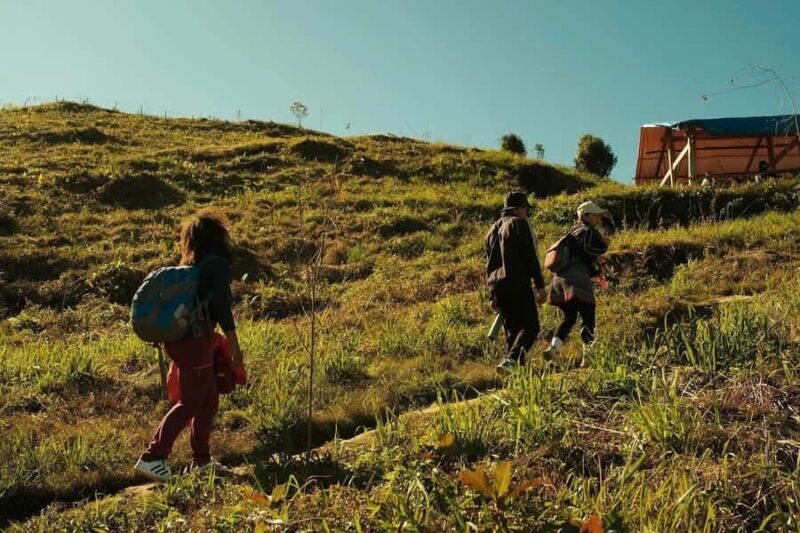 Sa Pa: Where Moutains speak-A Cultural Walk With Hmong Local - The Sum Up: Who Will Get the Most from This Experience?