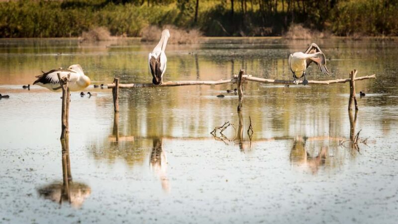SA Riverland: 3-Day Murray River & National Parks Eco Tour - Key Points