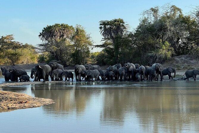Saadani National Park Day Tour - Who Will Love This Tour?  