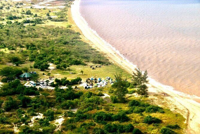 Saadani National Park Day Tour - Arrival at Saadani National Park: Bush Meets Beach