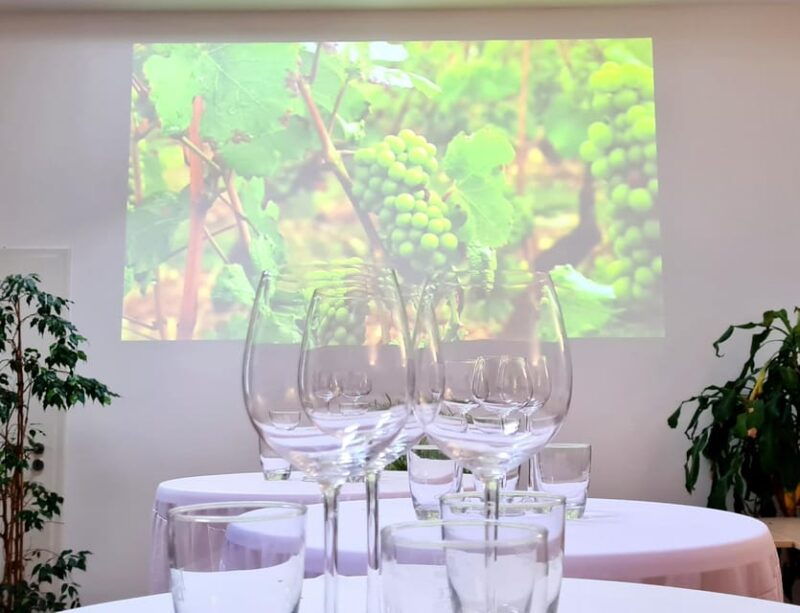saarbrucken-organic-wine-tasting-the-precious-way