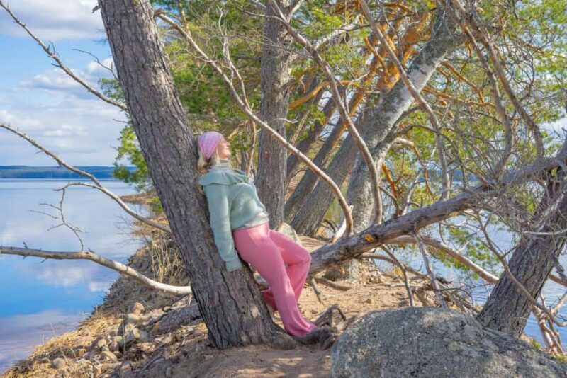 Saarijärvi: Scenic Lakeside Forest Walk with Campfire Food - Saarijärvi: Scenic Lakeside Forest Walk with Campfire Food — A Detailed Review