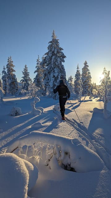 saariselka-back-country-skiing-guided-tour