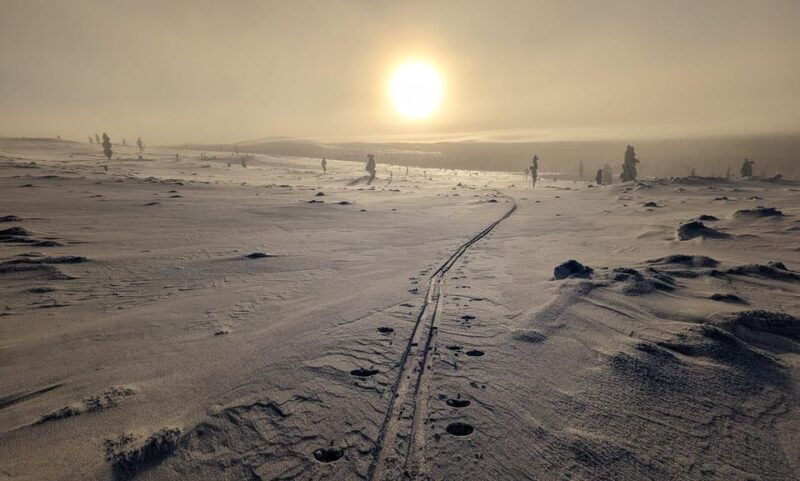 saariselka-back-country-skiing-guided-tour