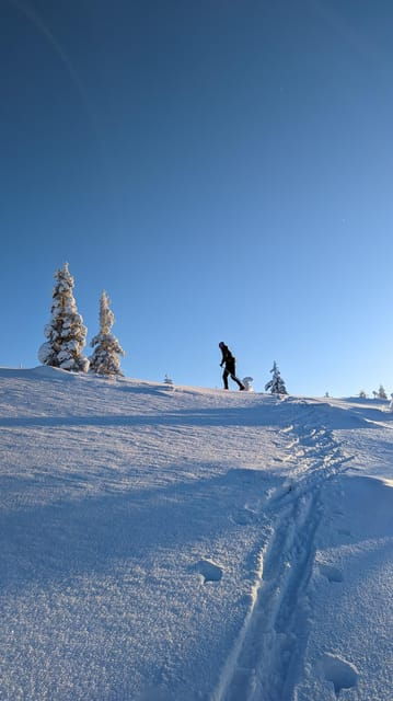 saariselka-back-country-skiing-guided-tour