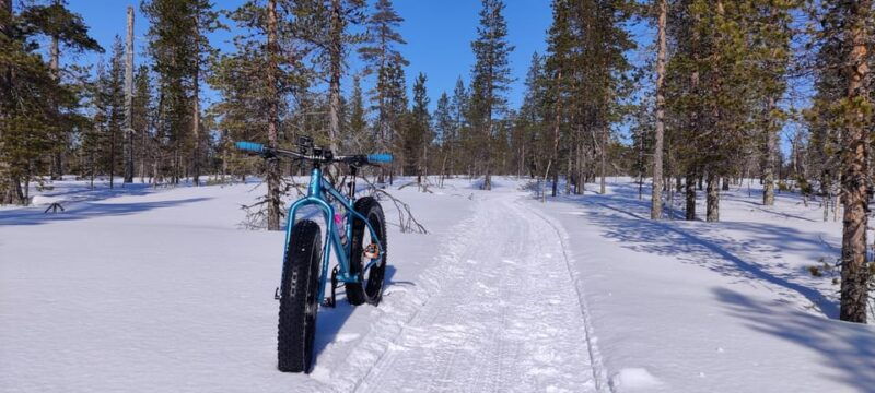 saariselka-guided-fatbike-tour