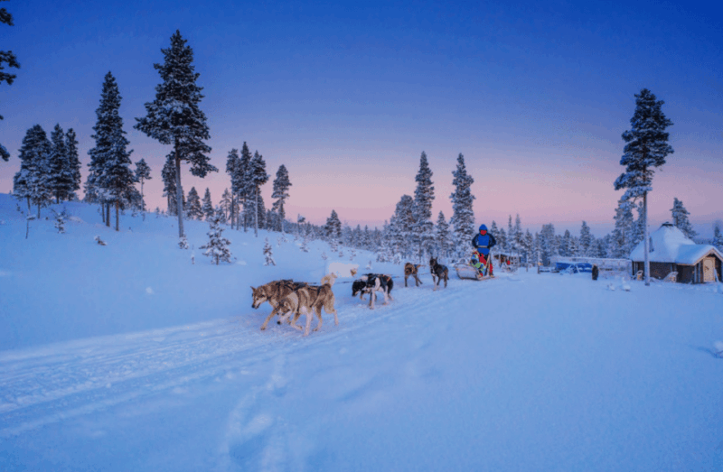 saariselka-husky-safari-with-aurora-borealis-hunt