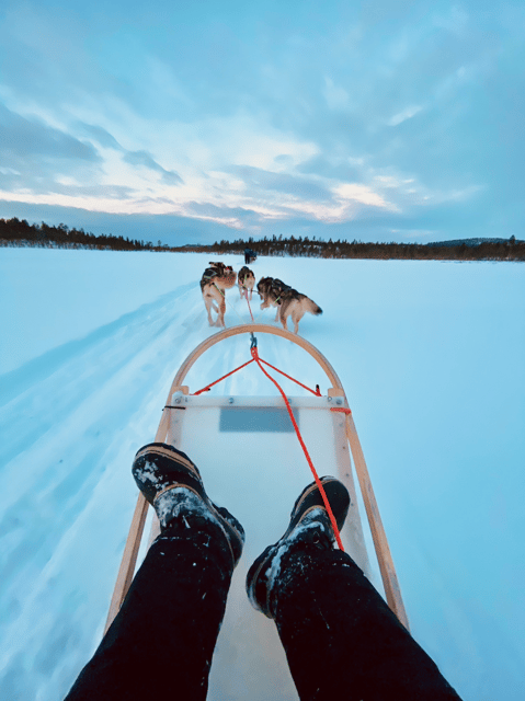 saariselka-husky-safari-with-kennel-visit
